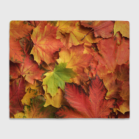 Плед 3D с принтом Осенние яркие кленовые листья , 100% полиэстер | закругленные углы, все края обработаны. Ткань не мнется и не растягивается | 