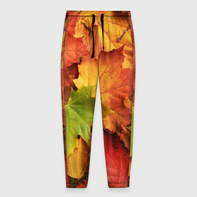 Мужские брюки 3D с принтом Осенние яркие кленовые листья в Курске, 100% полиэстер | манжеты по низу, эластичный пояс регулируется шнурком, по бокам два кармана без застежек, внутренняя часть кармана из мелкой сетки | Тематика изображения на принте: 