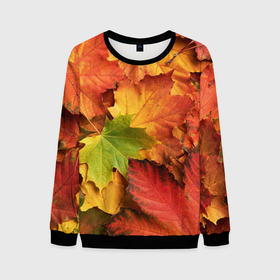 Мужской свитшот 3D с принтом Осенние яркие кленовые листья в Санкт-Петербурге, 100% полиэстер с мягким внутренним слоем | круглый вырез горловины, мягкая резинка на манжетах и поясе, свободная посадка по фигуре | 