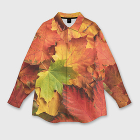 Мужская рубашка oversize 3D с принтом Осенние яркие кленовые листья в Курске,  |  | 