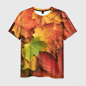 Мужская футболка 3D с принтом Осенние яркие кленовые листья в Белгороде, 100% полиэфир | прямой крой, круглый вырез горловины, длина до линии бедер | 
