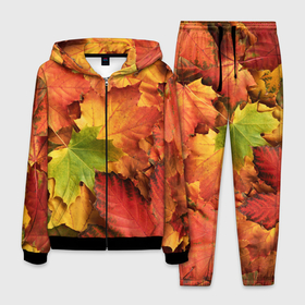 Мужской костюм 3D с принтом Осенние яркие кленовые листья в Белгороде, 100% полиэстер | Манжеты и пояс оформлены тканевой резинкой, двухслойный капюшон со шнурком для регулировки, карманы спереди | 