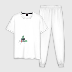 Мужская пижама хлопок с принтом Муха зеленая в Тюмени, 100% хлопок | брюки и футболка прямого кроя, без карманов, на брюках мягкая резинка на поясе и по низу штанин
 | 