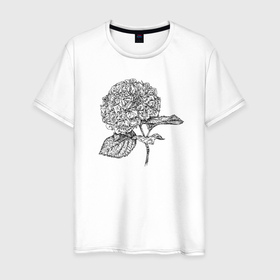 Мужская футболка хлопок с принтом Гортензия цветок в Тюмени, 100% хлопок | прямой крой, круглый вырез горловины, длина до линии бедер, слегка спущенное плечо. | 