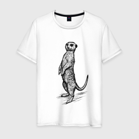 Мужская футболка хлопок с принтом Сурикат в Белгороде, 100% хлопок | прямой крой, круглый вырез горловины, длина до линии бедер, слегка спущенное плечо. | 