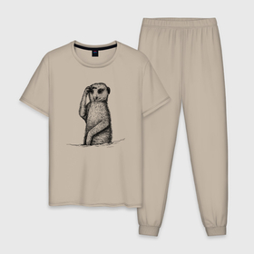 Мужская пижама хлопок с принтом Сурикат смотрит в Санкт-Петербурге, 100% хлопок | брюки и футболка прямого кроя, без карманов, на брюках мягкая резинка на поясе и по низу штанин
 | 