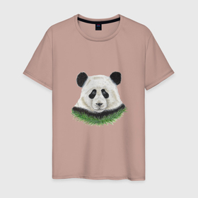 Мужская футболка хлопок с принтом Медведь панда в Белгороде, 100% хлопок | прямой крой, круглый вырез горловины, длина до линии бедер, слегка спущенное плечо. | 