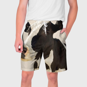 Мужские шорты 3D с принтом Настоящая корова ,  полиэстер 100% | прямой крой, два кармана без застежек по бокам. Мягкая трикотажная резинка на поясе, внутри которой широкие завязки. Длина чуть выше колен | 