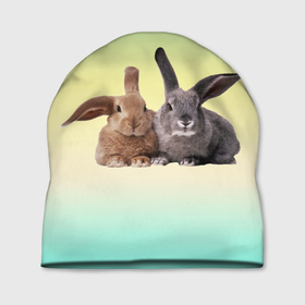 Шапка 3D с принтом Два пушистых кролика в Курске, 100% полиэстер | универсальный размер, печать по всей поверхности изделия | 