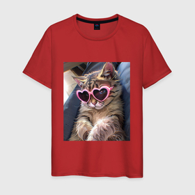 Мужская футболка хлопок с принтом Милый мем кот в очках в стиле аниме в Белгороде, 100% хлопок | прямой крой, круглый вырез горловины, длина до линии бедер, слегка спущенное плечо. | Тематика изображения на принте: 
