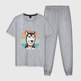 Мужская пижама хлопок с принтом Huskies are in turmoil в Тюмени, 100% хлопок | брюки и футболка прямого кроя, без карманов, на брюках мягкая резинка на поясе и по низу штанин
 | 