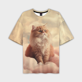 Мужская футболка oversize 3D с принтом Кот в облаках цветной в Петрозаводске,  |  | Тематика изображения на принте: 