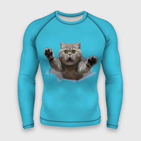 Мужской рашгард 3D с принтом Прыжок кошки в Ухте,  |  | Тематика изображения на принте: 