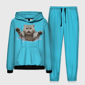 Мужской костюм с толстовкой 3D с принтом Прыжок кошки в Ухте,  |  | Тематика изображения на принте: 