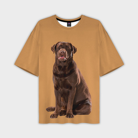 Мужская футболка oversize 3D с принтом Лабрадор ретривер коричневый ,  |  | 