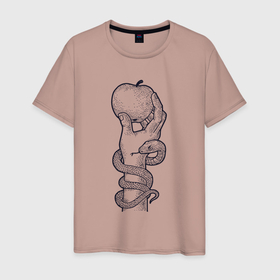 Мужская футболка хлопок с принтом Змея и яблоко в Белгороде, 100% хлопок | прямой крой, круглый вырез горловины, длина до линии бедер, слегка спущенное плечо. | 