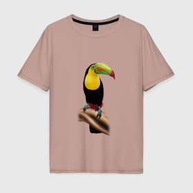 Мужская футболка хлопок Oversize с принтом Птица тукан в Санкт-Петербурге, 100% хлопок | свободный крой, круглый ворот, “спинка” длиннее передней части | 