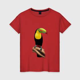 Женская футболка хлопок с принтом Птица тукан в Петрозаводске, 100% хлопок | прямой крой, круглый вырез горловины, длина до линии бедер, слегка спущенное плечо | 