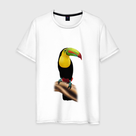Мужская футболка хлопок с принтом Птица тукан , 100% хлопок | прямой крой, круглый вырез горловины, длина до линии бедер, слегка спущенное плечо. | Тематика изображения на принте: 
