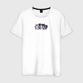Мужская футболка хлопок с принтом Cats lovers club в Курске, 100% хлопок | прямой крой, круглый вырез горловины, длина до линии бедер, слегка спущенное плечо. | Тематика изображения на принте: 