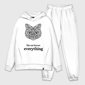 Мужской костюм oversize хлопок с принтом The cat knows everything в Тюмени,  |  | 