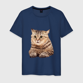 Мужская футболка хлопок с принтом Удивленный полосатый кот в Екатеринбурге, 100% хлопок | прямой крой, круглый вырез горловины, длина до линии бедер, слегка спущенное плечо. | 