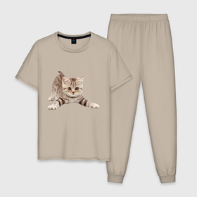 Мужская пижама хлопок с принтом Котенок игривый , 100% хлопок | брюки и футболка прямого кроя, без карманов, на брюках мягкая резинка на поясе и по низу штанин
 | 