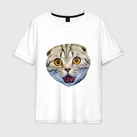 Мужская футболка хлопок Oversize с принтом Кот с открытым ртом в Новосибирске, 100% хлопок | свободный крой, круглый ворот, “спинка” длиннее передней части | 