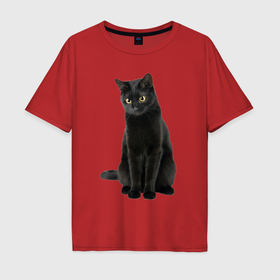Мужская футболка хлопок Oversize с принтом Черная кошка бомбейской породы в Кировске, 100% хлопок | свободный крой, круглый ворот, “спинка” длиннее передней части | 