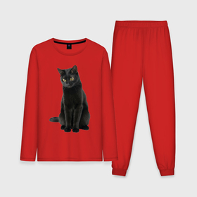 Мужская пижама с лонгсливом хлопок с принтом Черная кошка бомбейской породы в Кировске,  |  | 