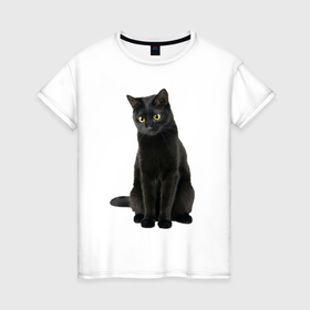 Женская футболка хлопок с принтом Черная кошка бомбейской породы , 100% хлопок | прямой крой, круглый вырез горловины, длина до линии бедер, слегка спущенное плечо | 