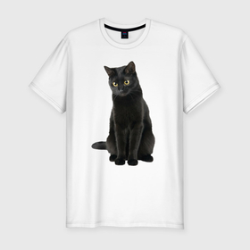 Мужская футболка хлопок Slim с принтом Черная кошка бомбейской породы в Кировске, 92% хлопок, 8% лайкра | приталенный силуэт, круглый вырез ворота, длина до линии бедра, короткий рукав | 
