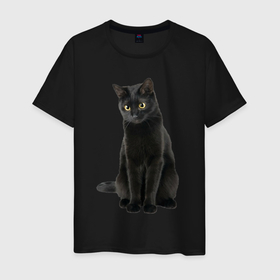 Мужская футболка хлопок с принтом Черная кошка бомбейской породы в Кировске, 100% хлопок | прямой крой, круглый вырез горловины, длина до линии бедер, слегка спущенное плечо. | 