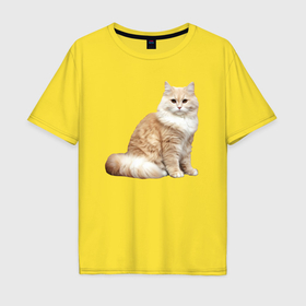 Мужская футболка хлопок Oversize с принтом Пушистая бело рыжая кошка в Новосибирске, 100% хлопок | свободный крой, круглый ворот, “спинка” длиннее передней части | 