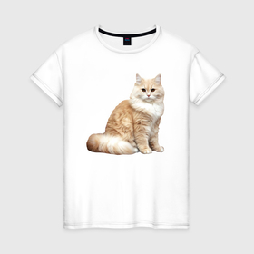 Женская футболка хлопок с принтом Пушистая бело рыжая кошка в Екатеринбурге, 100% хлопок | прямой крой, круглый вырез горловины, длина до линии бедер, слегка спущенное плечо | 