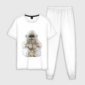 Мужская пижама хлопок с принтом Пушистая обезьянка в Белгороде, 100% хлопок | брюки и футболка прямого кроя, без карманов, на брюках мягкая резинка на поясе и по низу штанин
 | Тематика изображения на принте: 