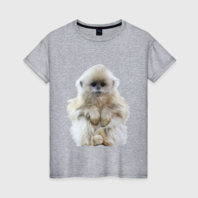 Женская футболка хлопок с принтом Пушистая обезьянка в Новосибирске, 100% хлопок | прямой крой, круглый вырез горловины, длина до линии бедер, слегка спущенное плечо | 