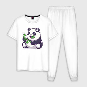 Мужская пижама хлопок с принтом Панда ест бамбук в Курске, 100% хлопок | брюки и футболка прямого кроя, без карманов, на брюках мягкая резинка на поясе и по низу штанин
 | Тематика изображения на принте: 