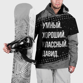 Накидка на куртку 3D с принтом Умный, хороший, классный: Давид в Петрозаводске, 100% полиэстер |  | 