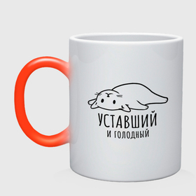 Кружка хамелеон с принтом Уставший кот и голодный в Белгороде, керамика | меняет цвет при нагревании, емкость 330 мл | Тематика изображения на принте: 