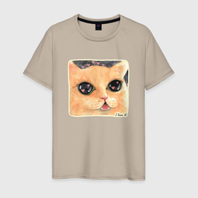 Мужская футболка хлопок с принтом Влюбленный кот в Курске, 100% хлопок | прямой крой, круглый вырез горловины, длина до линии бедер, слегка спущенное плечо. | Тематика изображения на принте: 