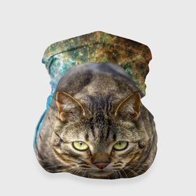 Бандана-труба 3D с принтом Космический полосатый кот в Екатеринбурге, 100% полиэстер, ткань с особыми свойствами — Activecool | плотность 150‒180 г/м2; хорошо тянется, но сохраняет форму | 