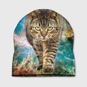 Шапка 3D с принтом Космический полосатый кот в Тюмени, 100% полиэстер | универсальный размер, печать по всей поверхности изделия | Тематика изображения на принте: 