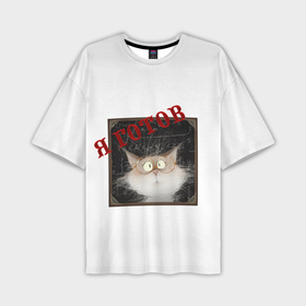 Мужская футболка oversize 3D с принтом Ученый кот   я готов в Санкт-Петербурге,  |  | Тематика изображения на принте: 
