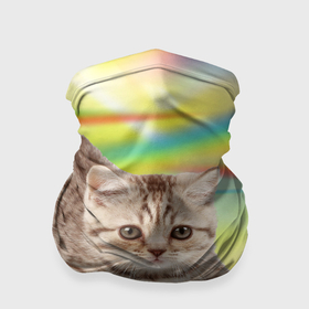 Бандана-труба 3D с принтом Полосатый пушистый котёнок в Екатеринбурге, 100% полиэстер, ткань с особыми свойствами — Activecool | плотность 150‒180 г/м2; хорошо тянется, но сохраняет форму | 