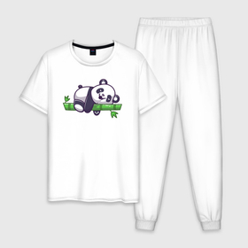 Мужская пижама хлопок с принтом Панда отдыхает в Курске, 100% хлопок | брюки и футболка прямого кроя, без карманов, на брюках мягкая резинка на поясе и по низу штанин
 | 