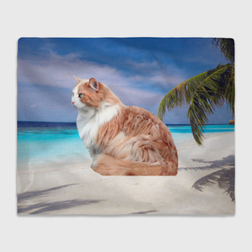 Плед 3D с принтом Пушистая норвежская кошка на тропическом пляже в Кировске, 100% полиэстер | закругленные углы, все края обработаны. Ткань не мнется и не растягивается | 