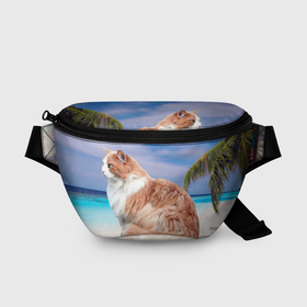 Поясная сумка 3D с принтом Пушистая норвежская кошка на тропическом пляже в Белгороде, 100% полиэстер | плотная ткань, ремень с регулируемой длиной, внутри несколько карманов для мелочей, основное отделение и карман с обратной стороны сумки застегиваются на молнию | 
