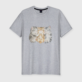 Мужская футболка хлопок Slim с принтом Три милых котёнка спят в Курске, 92% хлопок, 8% лайкра | приталенный силуэт, круглый вырез ворота, длина до линии бедра, короткий рукав | 