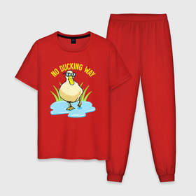 Мужская пижама хлопок с принтом No ducking way в Кировске, 100% хлопок | брюки и футболка прямого кроя, без карманов, на брюках мягкая резинка на поясе и по низу штанин
 | Тематика изображения на принте: 